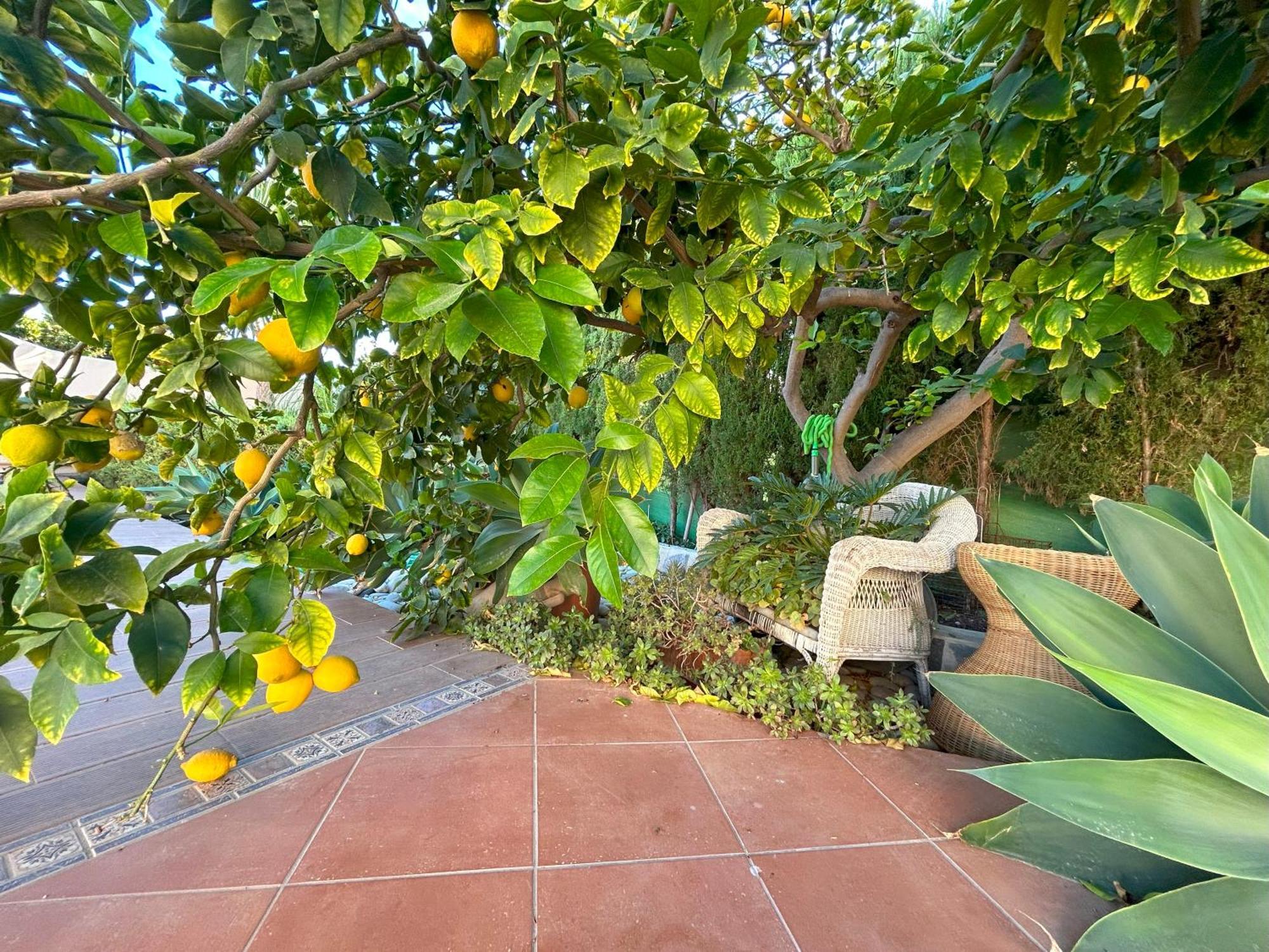 Casa Luna Llena Calp Exterior foto